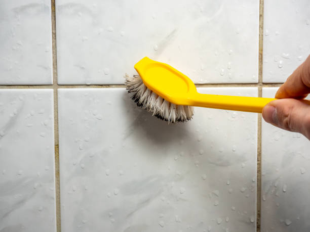 Best Residential Mold Removal  in Monticello, IL