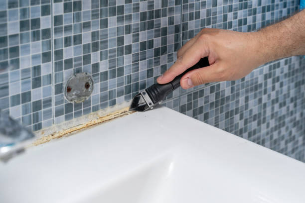 Best Professional Mold Removal  in Monticello, IL